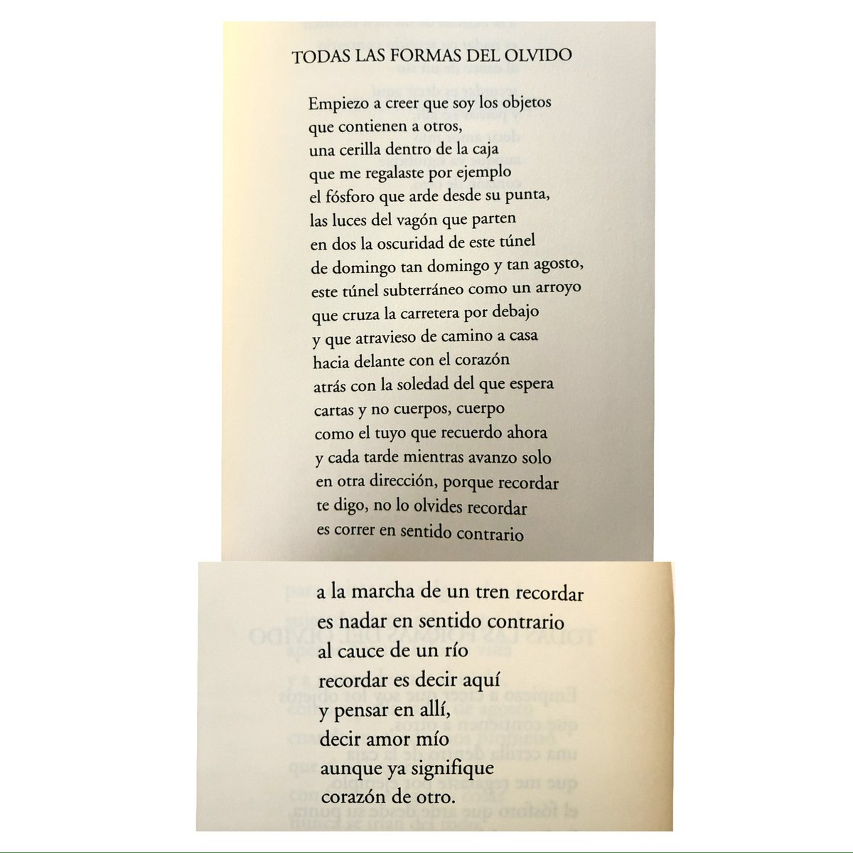 Agustín Fernández Mallo tweet media