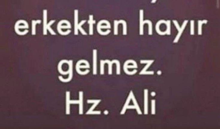 nehir tweet media