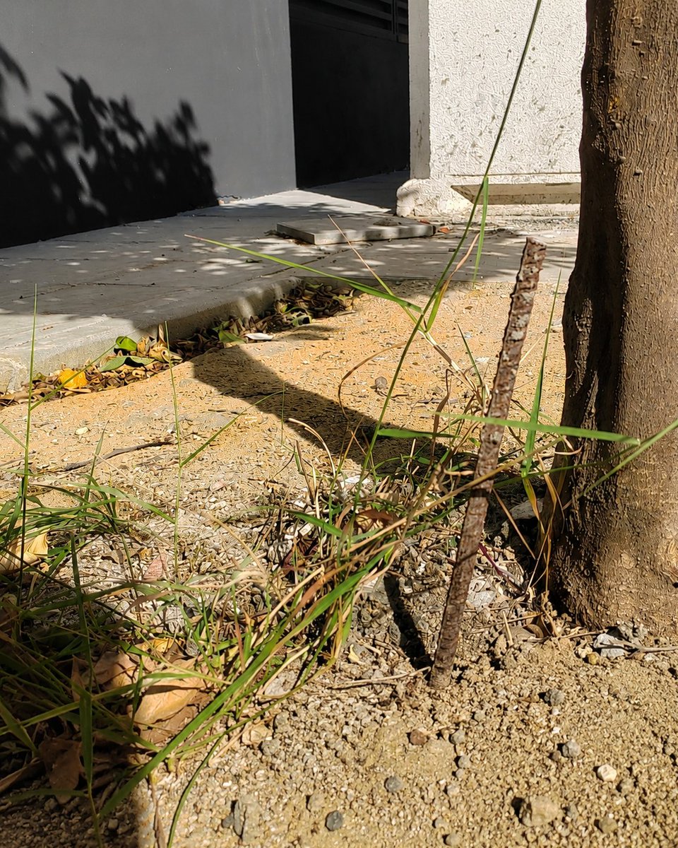 PSOEHuelvaCap's tweet photo. ❌ EL ABANDONO DE LA PLAZA PUERTO MORAL

La plaza Puerto Moral en el barrio de Vistalegre, no puede seguir así.

Después de más de dos años de obras privadas y dos meses desde su finalización, este espacio público ha quedado destrozado. https://t.co/S6J1Lm6x2z