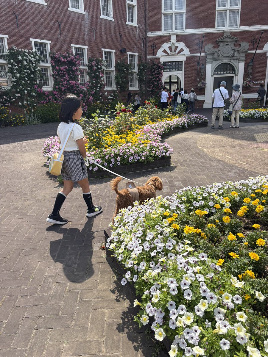入園前に仲良くなったラルちゃん✨ まだ、6ヶ月のトイプーちゃんなん