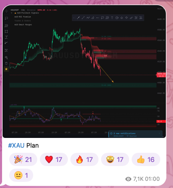 mrdoc_official_'s tweet photo. $XAU plan https://t.co/gXYyLnNMNv