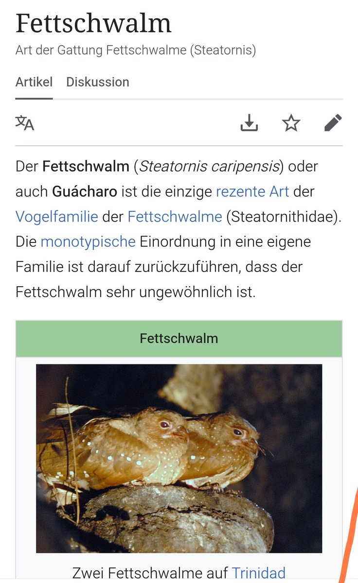 Meister Becker 🇮🇱🇺🇲🥝 tweet media