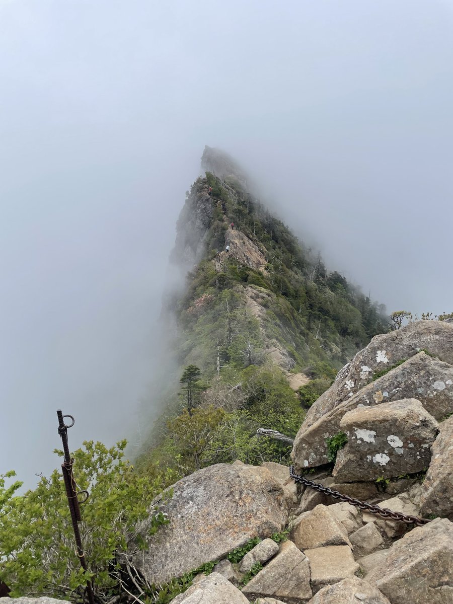 himeok's tweet photo. 昨日、今日と四国遠征
石鎚山登山⛰️
上の方はガスガスやったけど一瞬だけ
天狗岳方向見えて良かった🤩 https://t.co/6ioR72CeXq