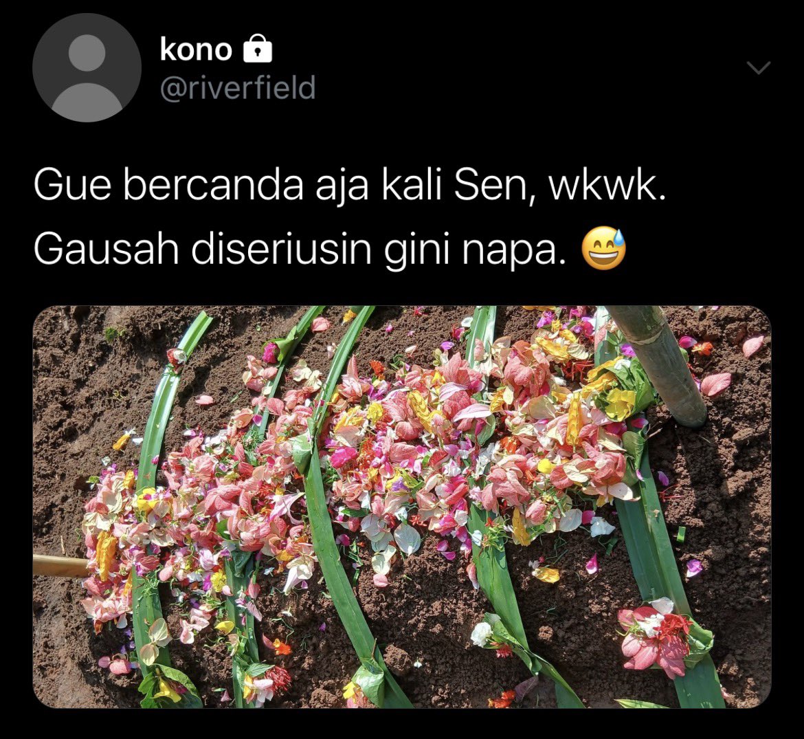 شهان tweet media