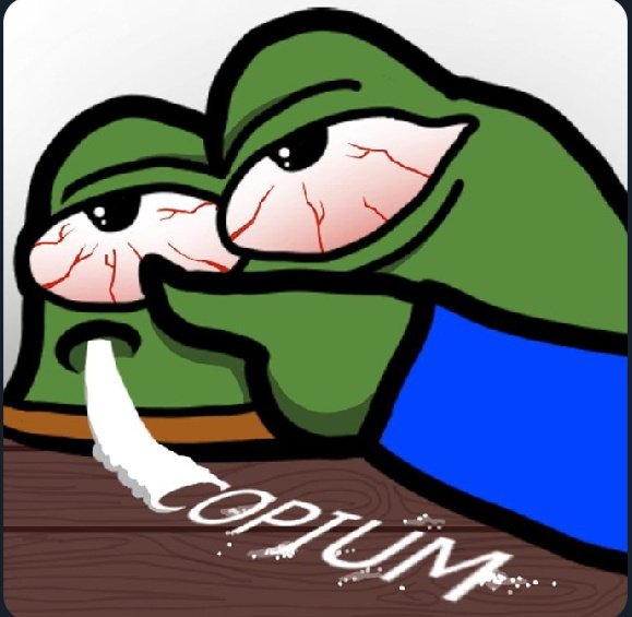 FUNomic's tweet photo. @buzor042_ @Afc_Nels2 Sniffing the Copium special😂 https://t.co/l5c6le21Zr