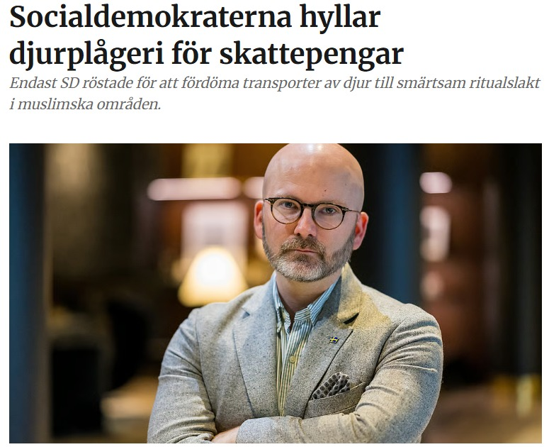 weimers's tweet photo. Djurplågeri ska inte firas ☪️

Svenska städer lägger pengar på firanden kopplade till Eid al-Adha samtidigt som Socialdemokraterna i Europaparlamentet väljer att inte fördöma transporter av djur till smärtsam rituell slakt – eller rent djurplågeri – i muslimska länder.

Man kan tala hur vackert som helst om djurskydd hemma i Sverige. Men när det gäller visar rösterna i Bryssel var partierna står.

Sverigedemokraternas linje är klar: djurtortyr ska aldrig hyllas med fest och festival i våra städer.