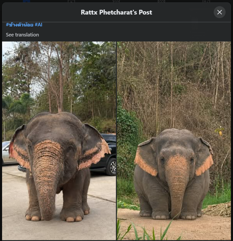 Muge tweet media