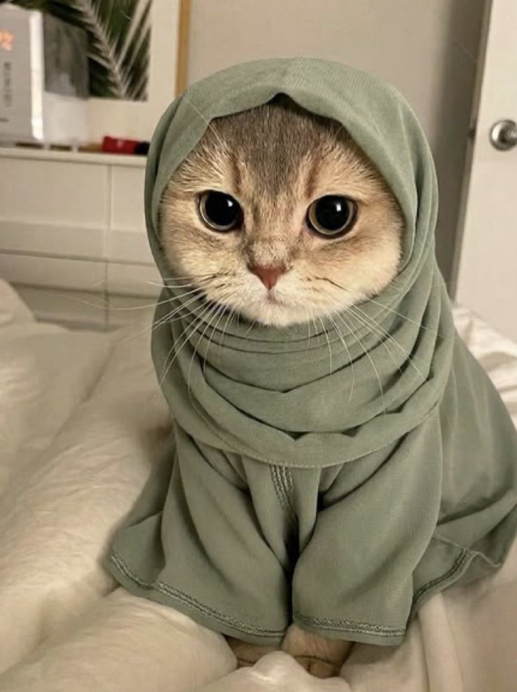 𝐋𝐚r 𝐁𝐚𝐛𝐲 tweet media
