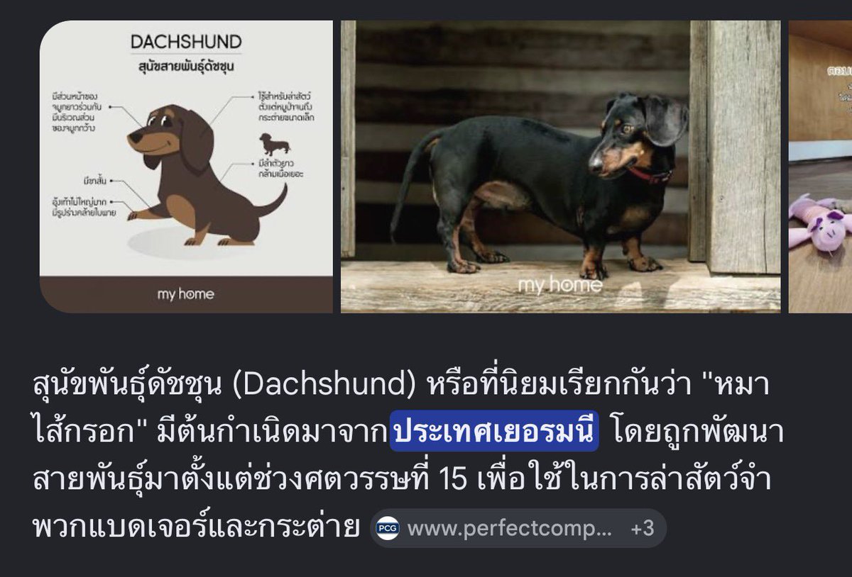 posie ꫂ ၴႅ tweet media