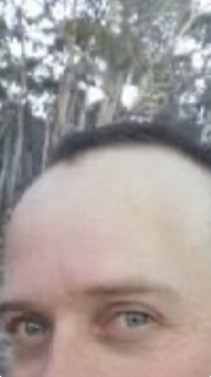 Ben Wachsbaum tweet media