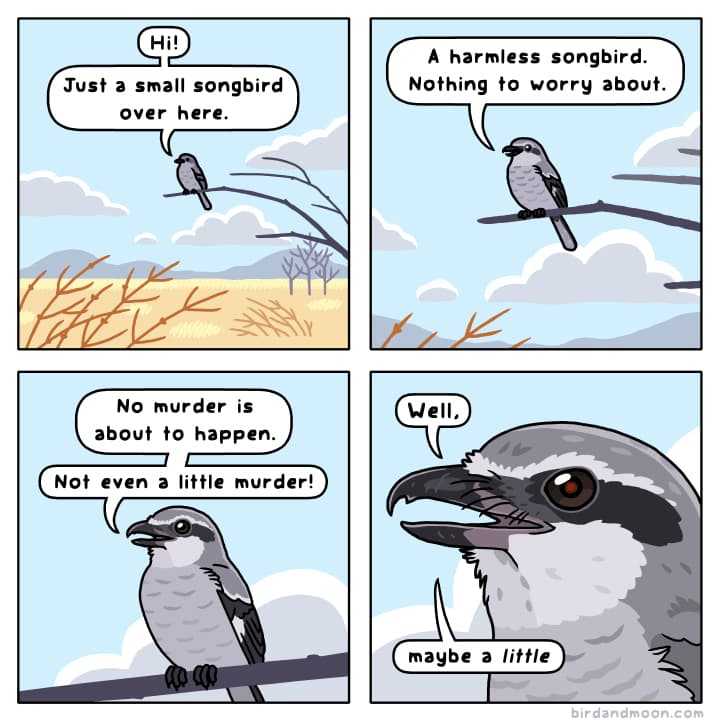 alex 🕊️ 🦖 tweet media