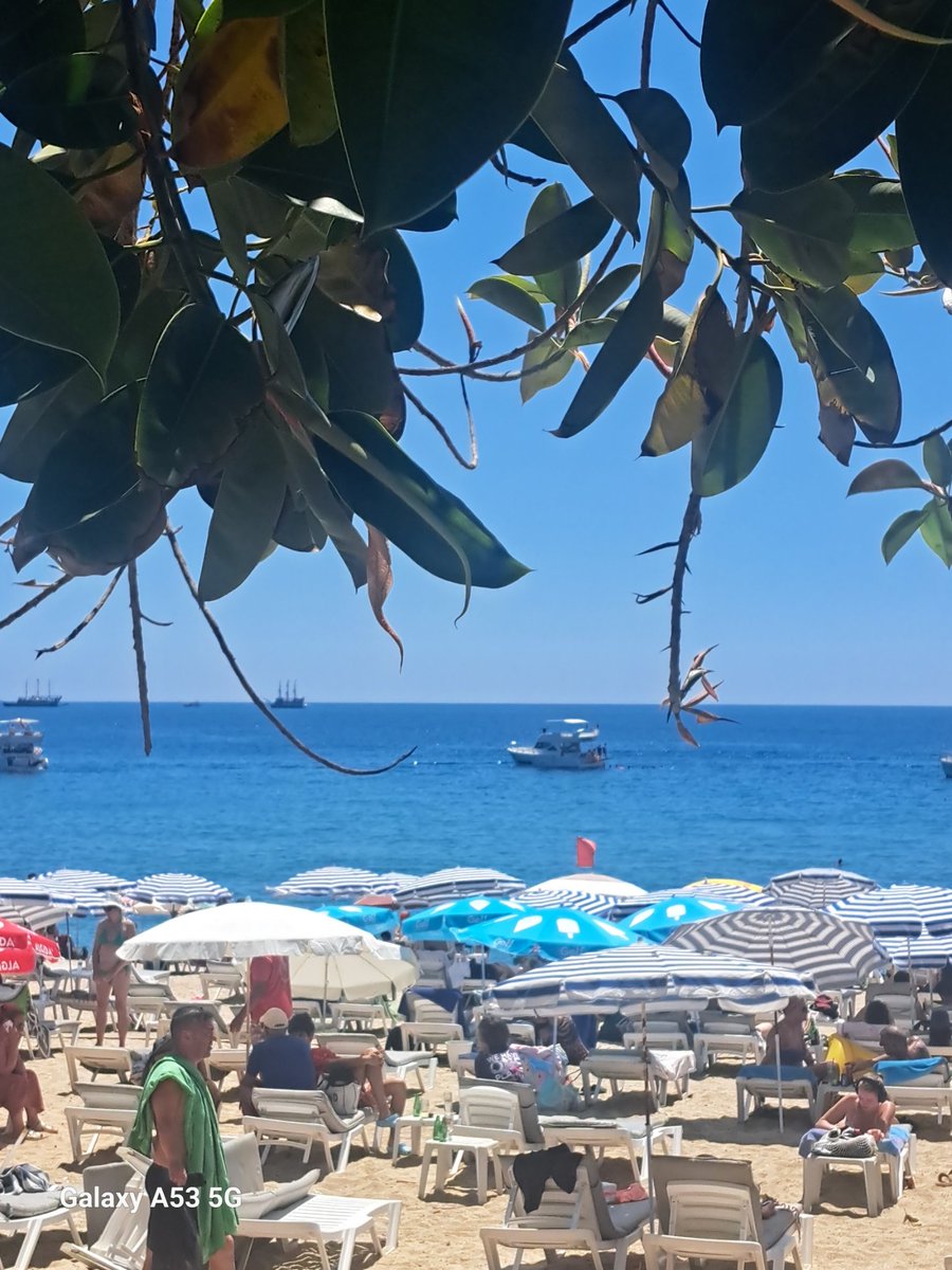 Il_Postino tweet media