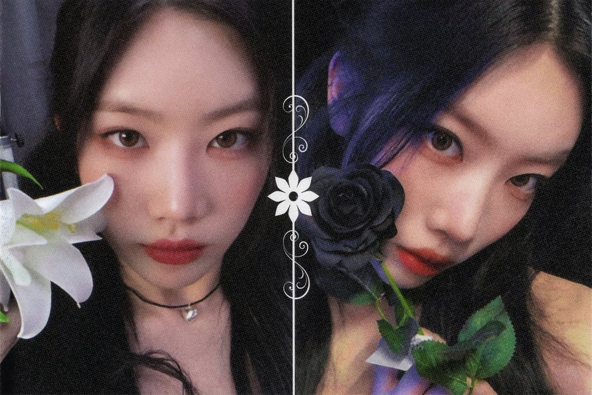 kim lip tweet media