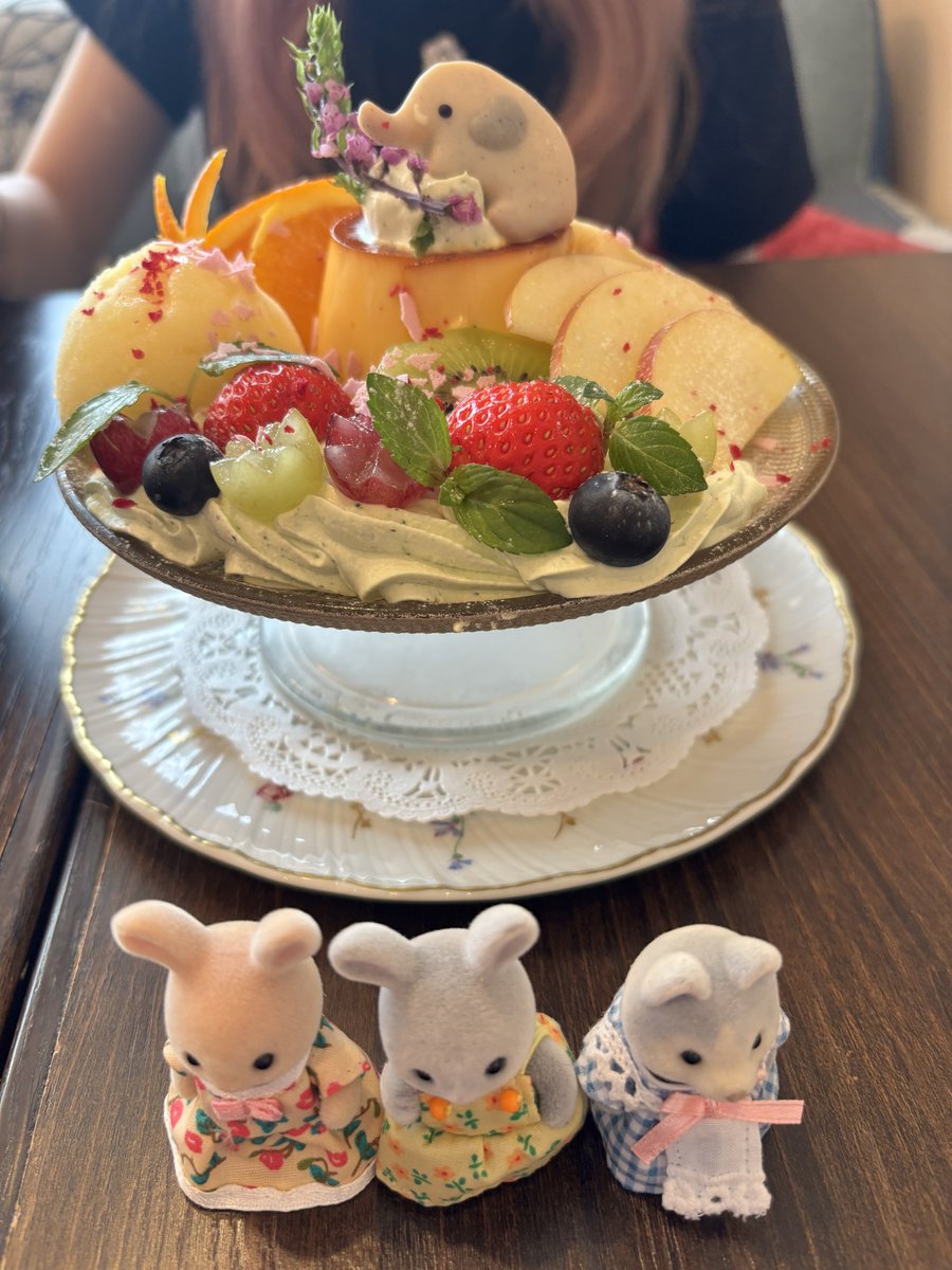 吉祥寺で焼き氷とめちゃかわプリンアラモード🐘 美味しかった〜