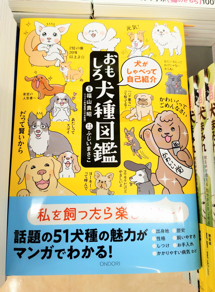 ペット】犬が自分の魅力をしゃべって自己紹介する犬種図鑑！ 私を飼っ