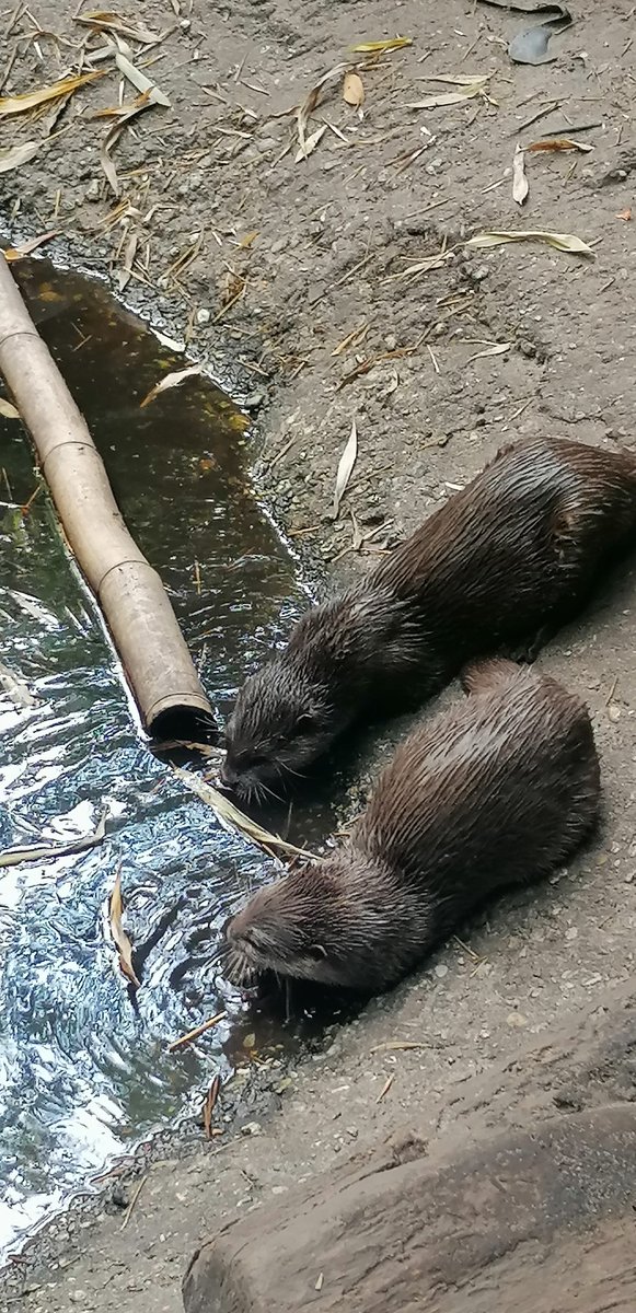 AngliqueLabruy1's tweet photo. Pensez à vous hydrater 😩🍾 https://t.co/IKAD3FJd9e
