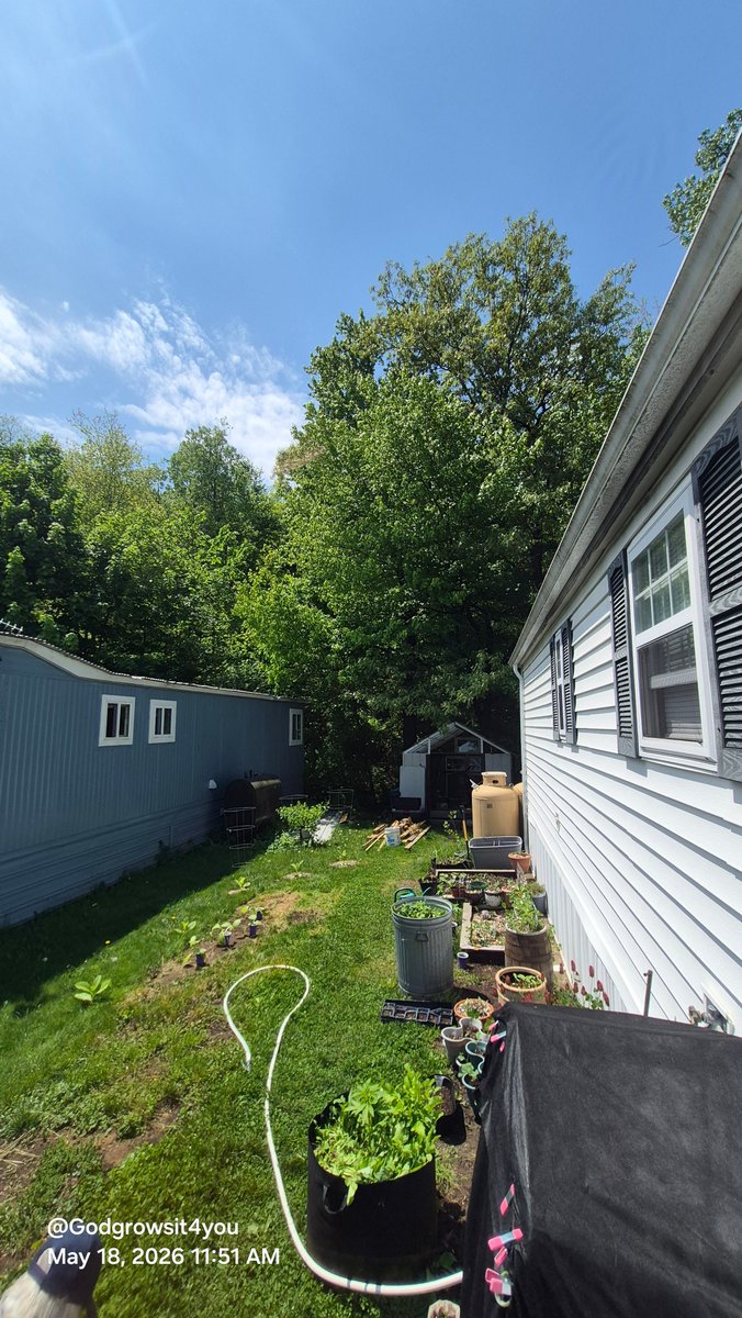 Bryan's Backyard Boogie tweet media