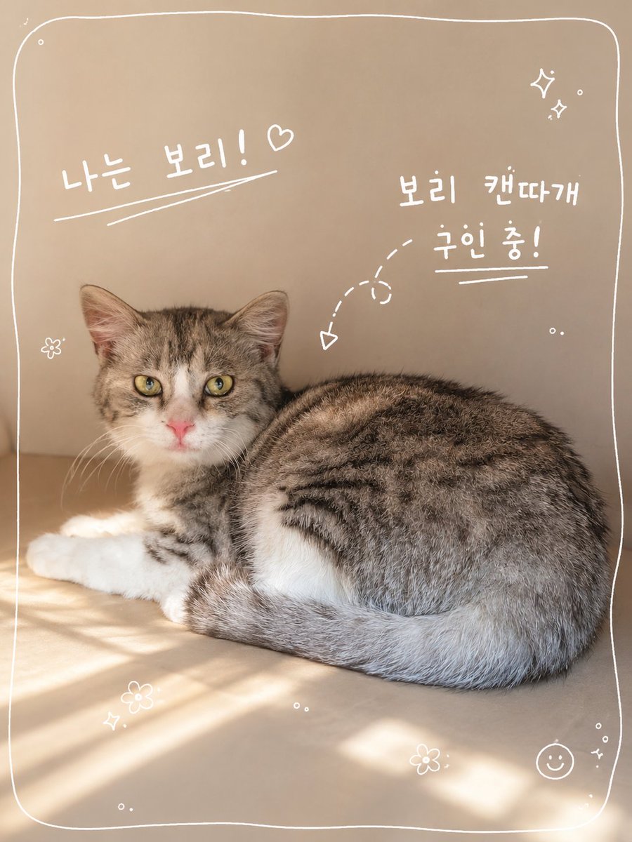 소슬 tweet media
