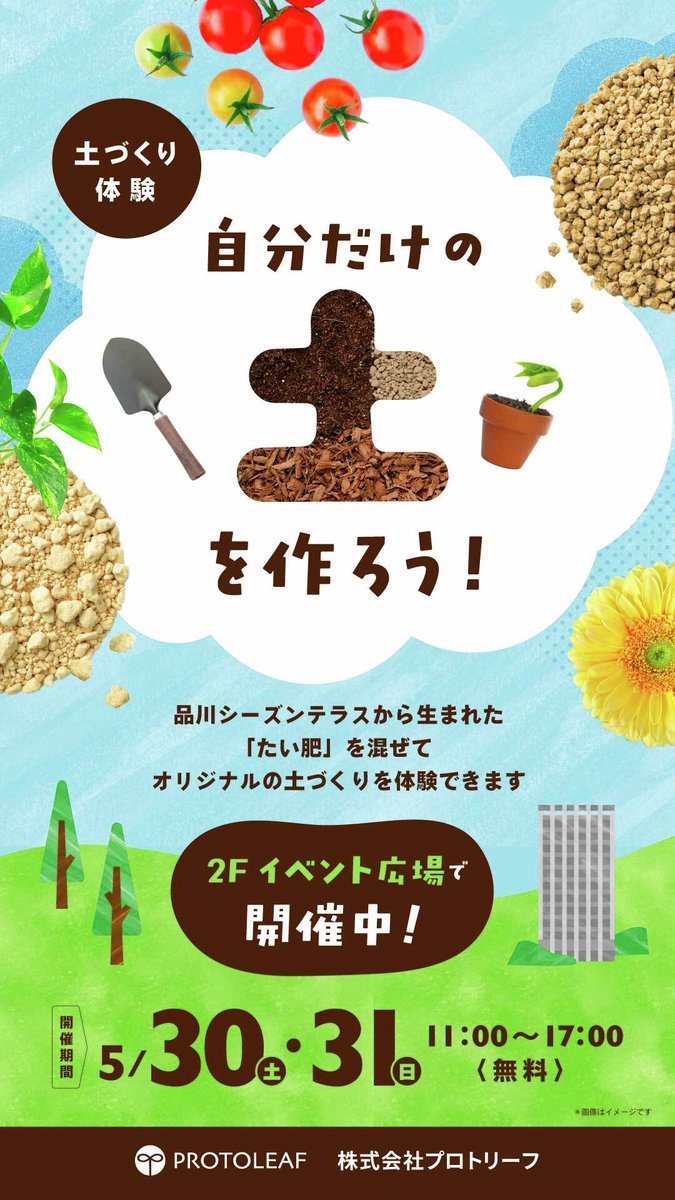 【公式】プロトリーフ tweet media