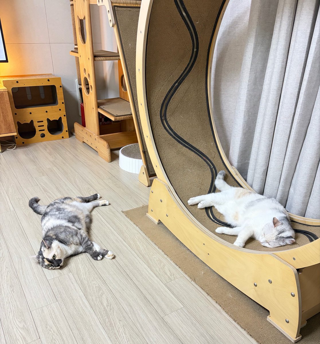 kimgoyangs's tweet photo. https://t.co/0cR3lCYHNW