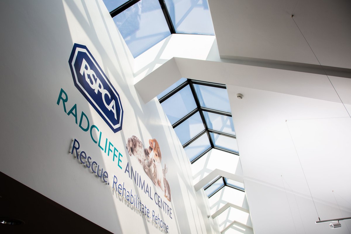 IntegraBuild's tweet photo. We can’t believe it was seven years ago that our CEO Gary and Managing Director Chris met some four-legged residents at RSPCA Radcliffe Animal Centre!

We delivered a two-storey #modular facility to support the rescue, rehab and rehoming of abandoned and neglected animals. https://t.co/TtDugqSL9n