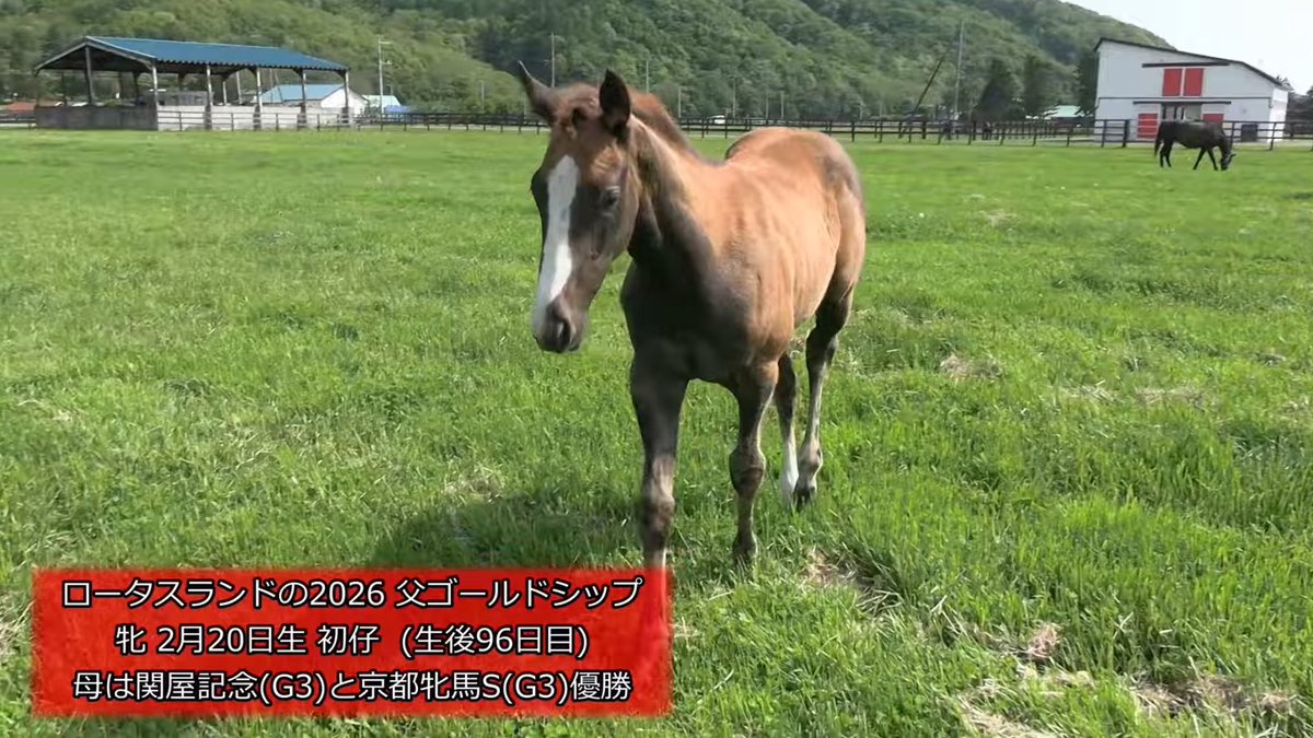 エリバ助手 tweet media