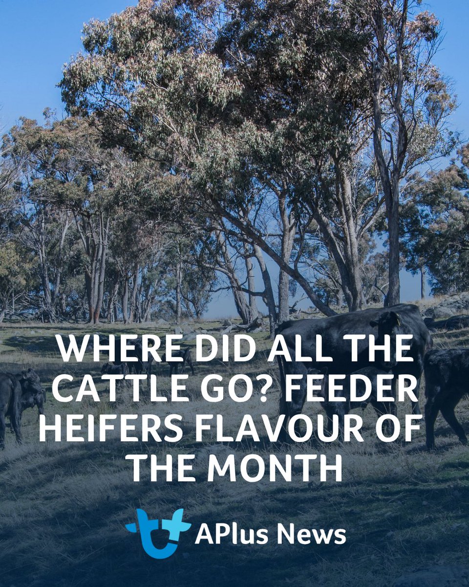 AuctionsPlus tweet picture