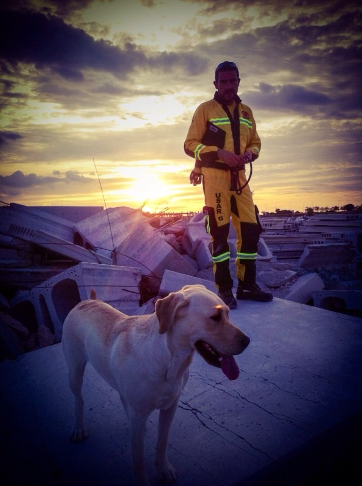 USAR13DYA's tweet photo. Hoy despedimos a un héroe de cuatro patas.
Un compañero que no pidió reconocimiento, pero que se ganó el respeto y el cariño de todos los que tuvieron la suerte de conocerlo.
Durante su vida, dio mucho más que compañía: dio esperanza, ayuda y entrega absoluta.
Descansa en Paz. https://t.co/H2EDeC7IHO