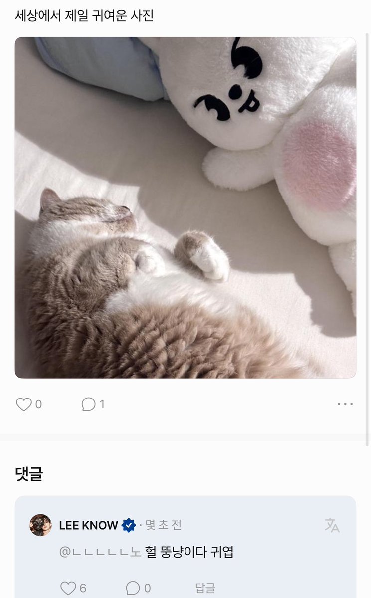 のnol tweet media