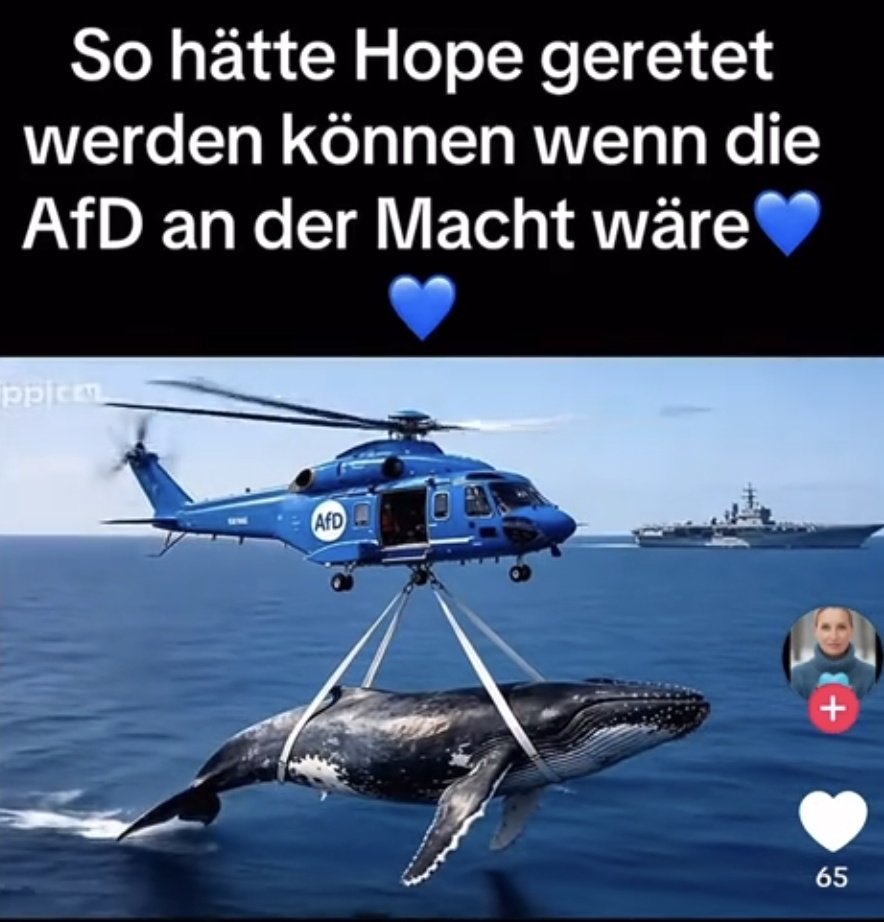 Hinterhof tweet media