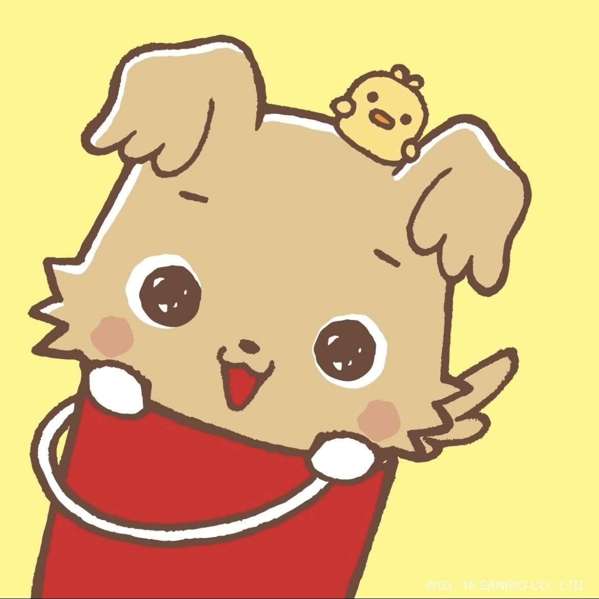 일사 tweet media