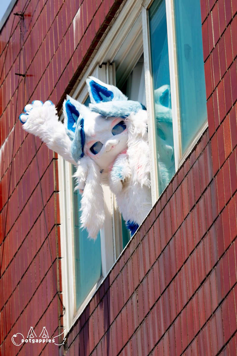 Little_Hotsun's tweet photo. #FursuitEveryday
여기야 여기! https://t.co/BztQGlG2cL