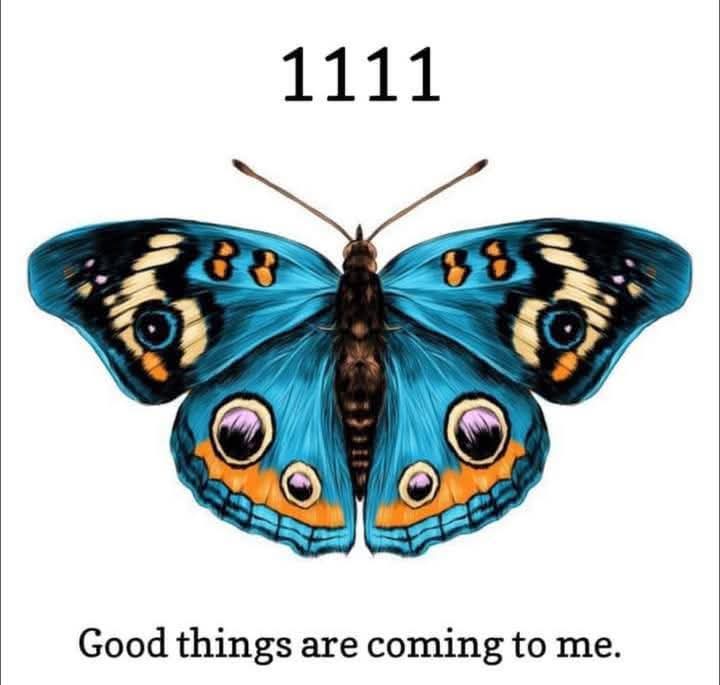 manifestnow1111's tweet photo. ✨️1111✨️

Claim it!🦋 https://t.co/f5OD6DBysU