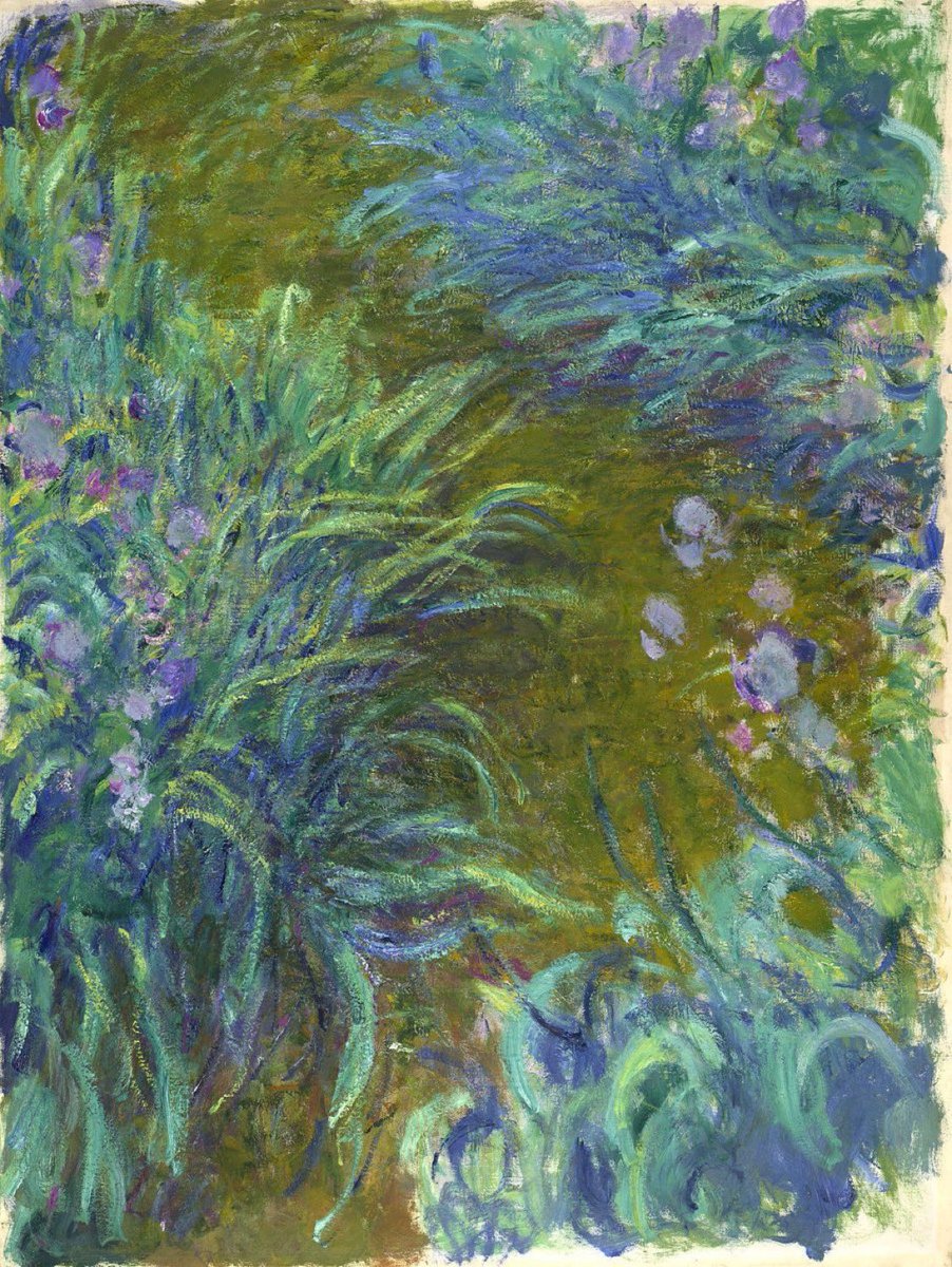 22hrr22min's tweet photo. claude monet's irises (french, 1840-1926) https://t.co/lIEzIh1qJY