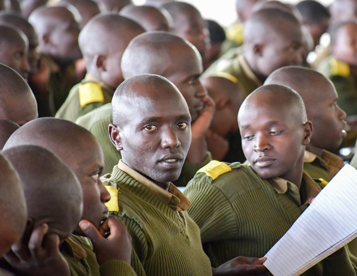 DCI KENYA tweet media