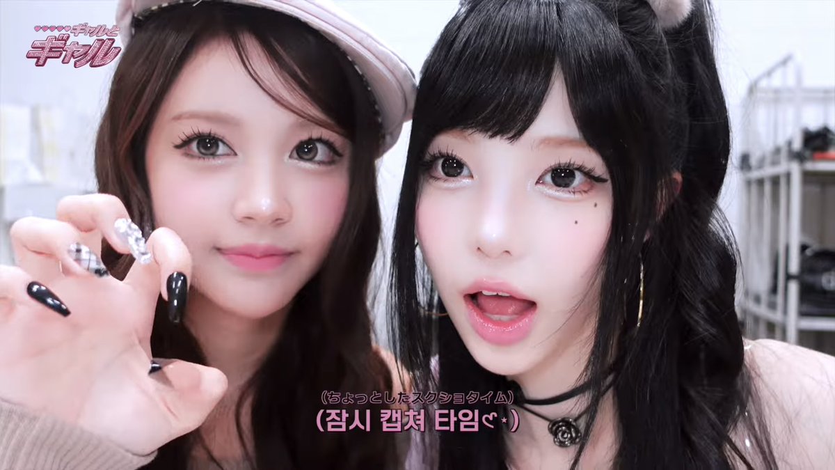 로애 tweet media