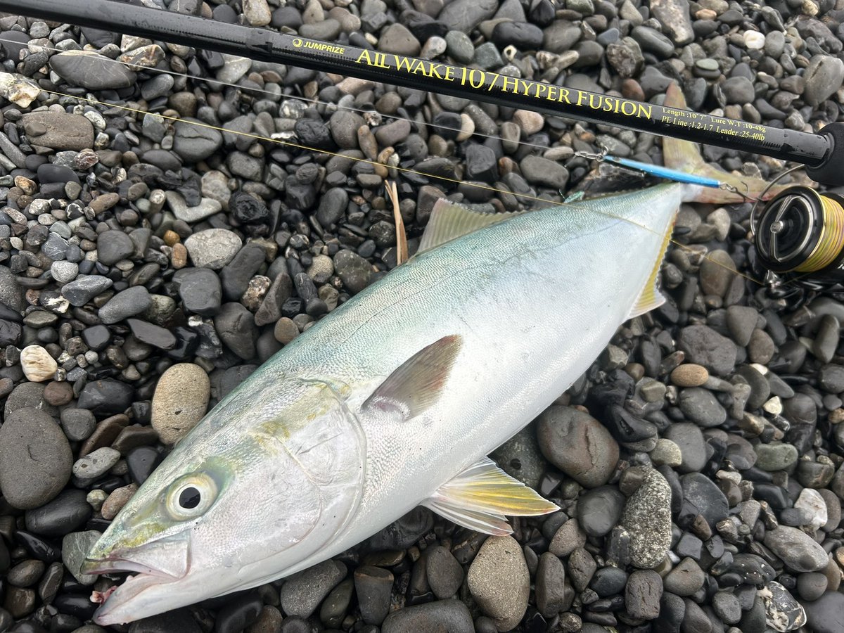 fishingfun01's tweet photo. 春が来た！🌸

セルテートHD入魂フィッシュです🐟 https://t.co/zBSrV6MCtO