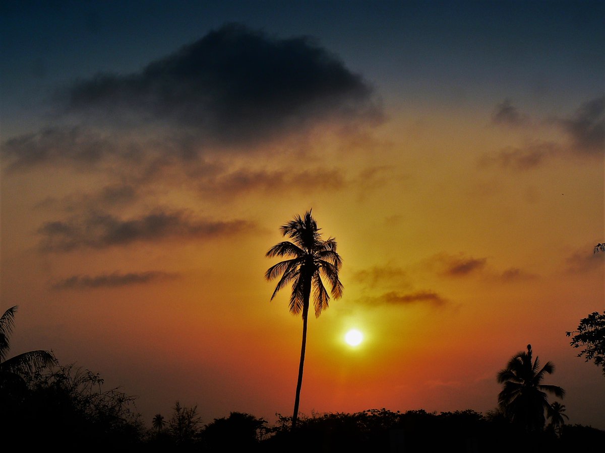 AntonuccioSanoP's tweet photo. Fotografía de Pedro Antonuccio Sanó @fotoantonuccio
Palmasola. Estado Carabobo. Venezuela. 2011. #palmasola #estadocarabobo #venezuela #pedroantonucciosanó #fotoantonuccio #paisaje #atardeceres @guayucodebolsillo #colorphotography https://t.co/zsnioqiyfb