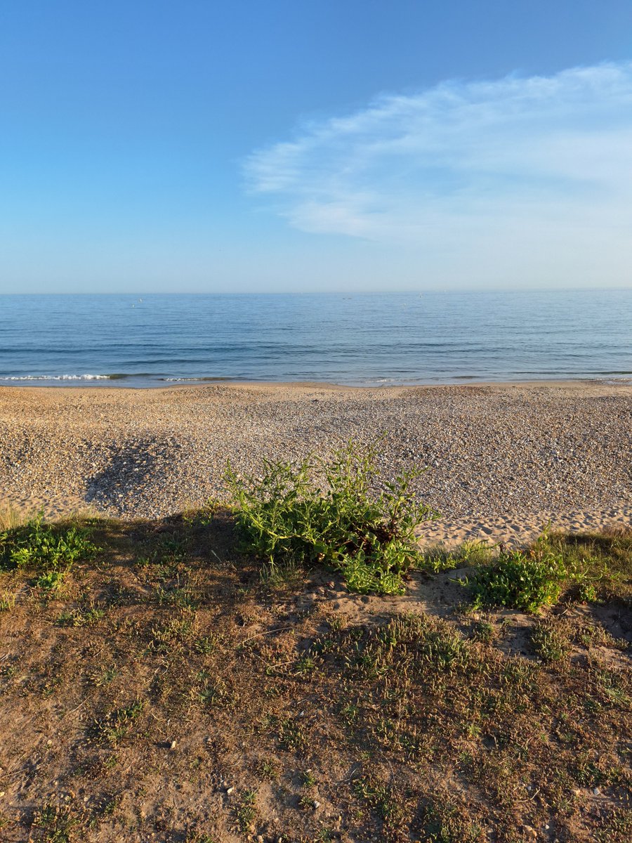 Rogerreflects's tweet photo. Once you dip your toes in the sea of faith, you soon discover that it is a vast ocean of endless refreshment.

Take the plunge!

#Catolic https://t.co/zdNSaqIMkV