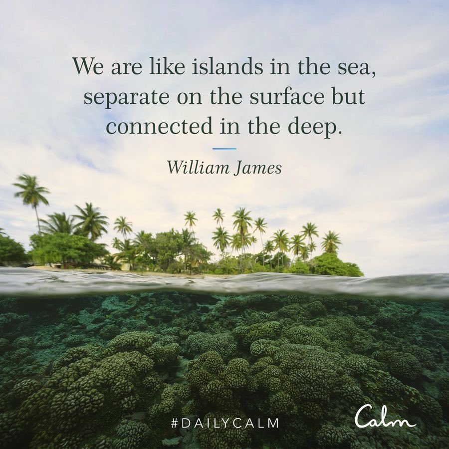 adeleoniii's tweet photo. We are like islands in the sea, separate on the surface but connected in the deep. https://t.co/LILpxj7Kwf