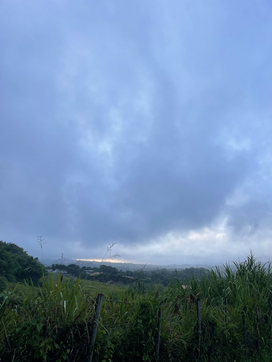 Ya50532822's tweet photo. @carlosomartv amanecer , cidra , https://t.co/mMVlcwACdZ