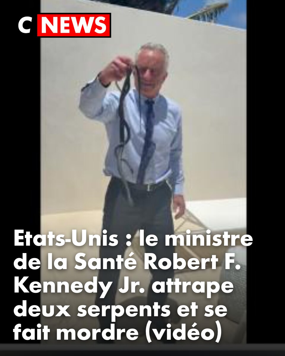 CNEWS's tweet photo. Une séquence insolite et virale. https://t.co/r6SbGN4VYq https://t.co/rjd5xVFSpm