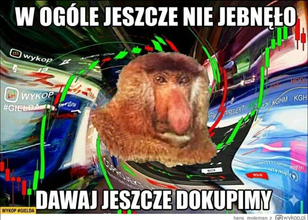 Neolib9's tweet photo. @GotfrydKarol TO THE MOON‼️, a nie jakieś starcze pierdolenie o bańkach i kryzysach https://t.co/JJXjzt1pCS