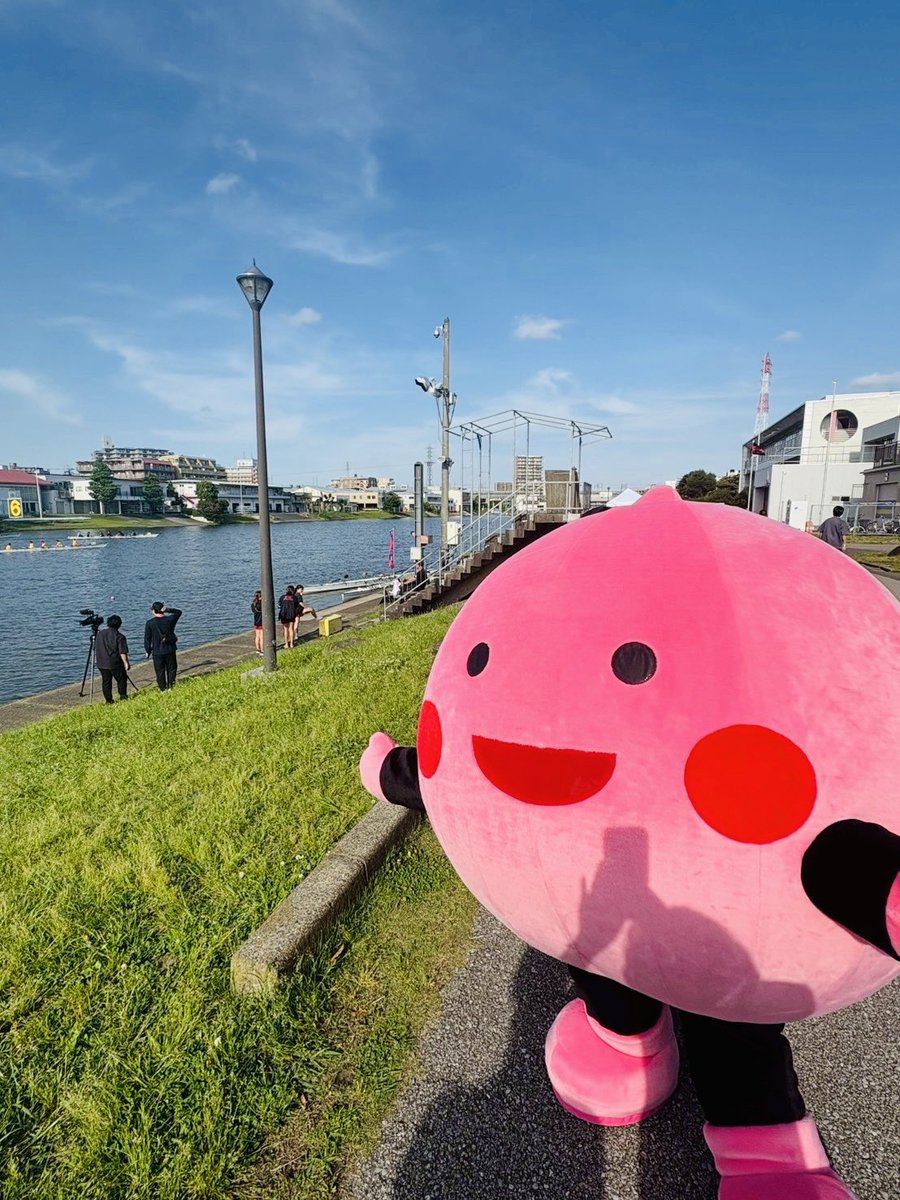 peachkun1924's tweet photo. あしたはレガッタだよう🍑みんないく❓ぼくもいくようう🍑
#どんぶらこどんぶらこ https://t.co/sDlUMdN998