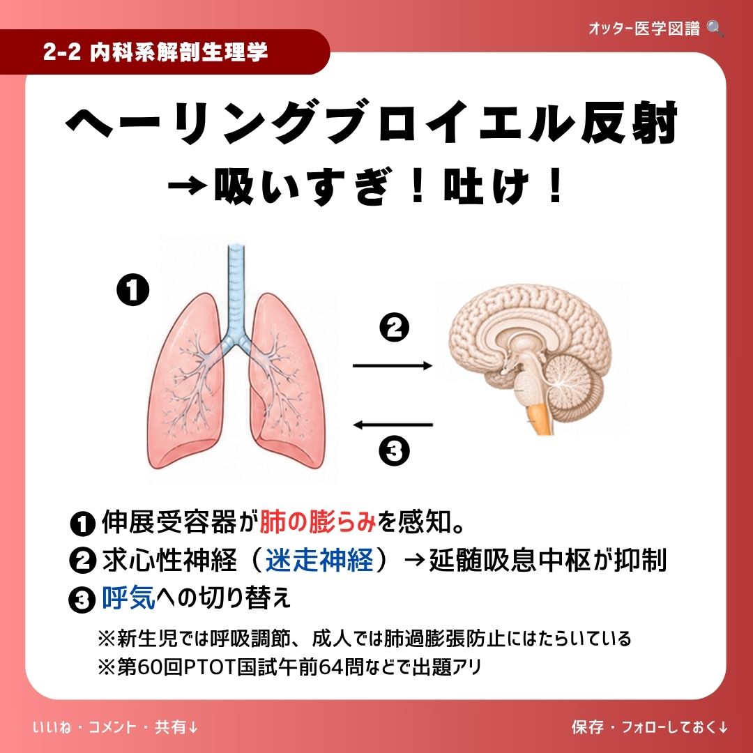 ヘー リング ブロイ エル 反射
