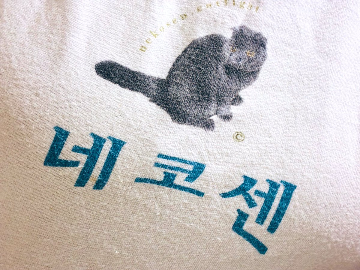 serasekaikan's tweet photo. 猫戦の解散はとてもかなしい
鶴のときから応援しててだいすきなのに…
今日は着すぎてくたびれた猫戦Tを着てねる https://t.co/MsctS6sLxd