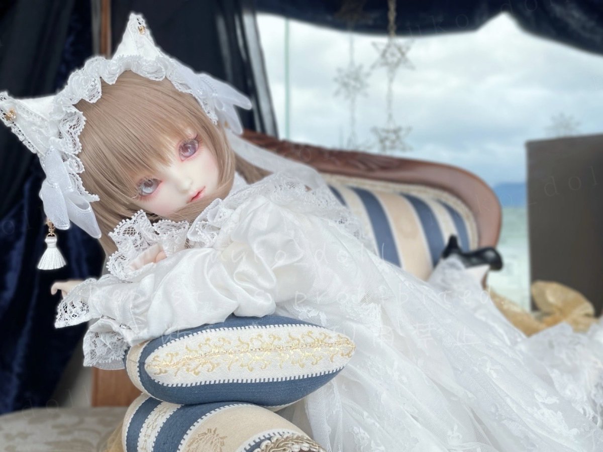 nuko_doll's tweet photo. おねこさま₍ᐞ•༝•ᐞ₎◞ ̑̑ https://t.co/5bbSYeMYek