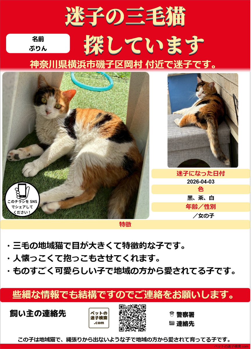 ぽん tweet media