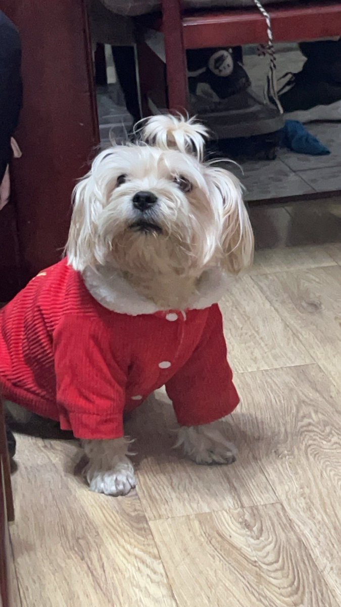 老王毕业生活 tweet media
