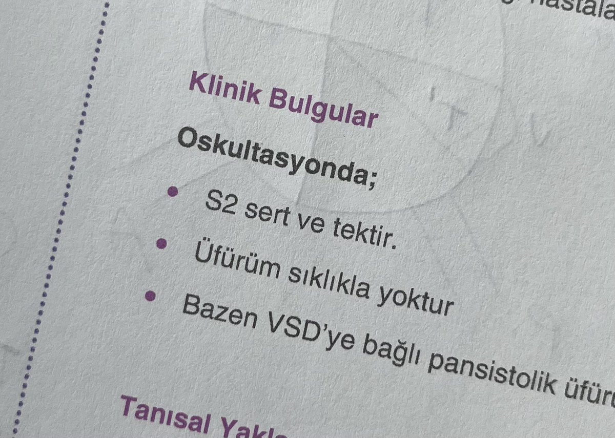 ahmet tweet media